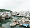 (08.09.동명동,북항) 태풍대비 시설점검