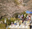 (03.30-31.유달산) 유달산 봄 축제