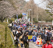 (03.30-31.유달산) 유달산 봄 축제