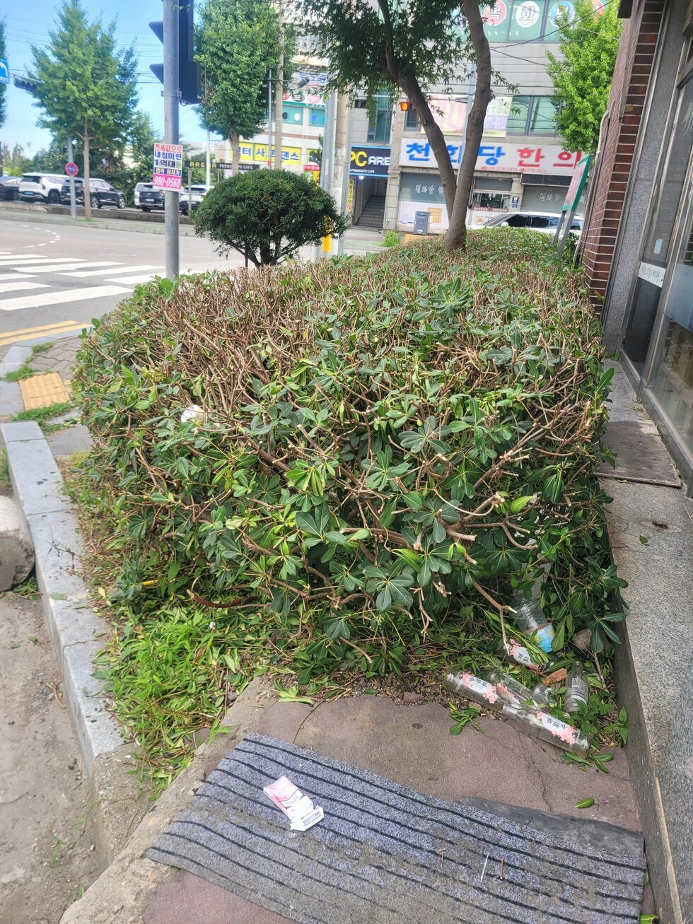 화단쓰레기