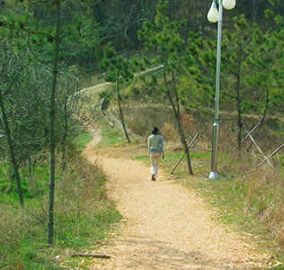 바다가 보이는 고하도 전경