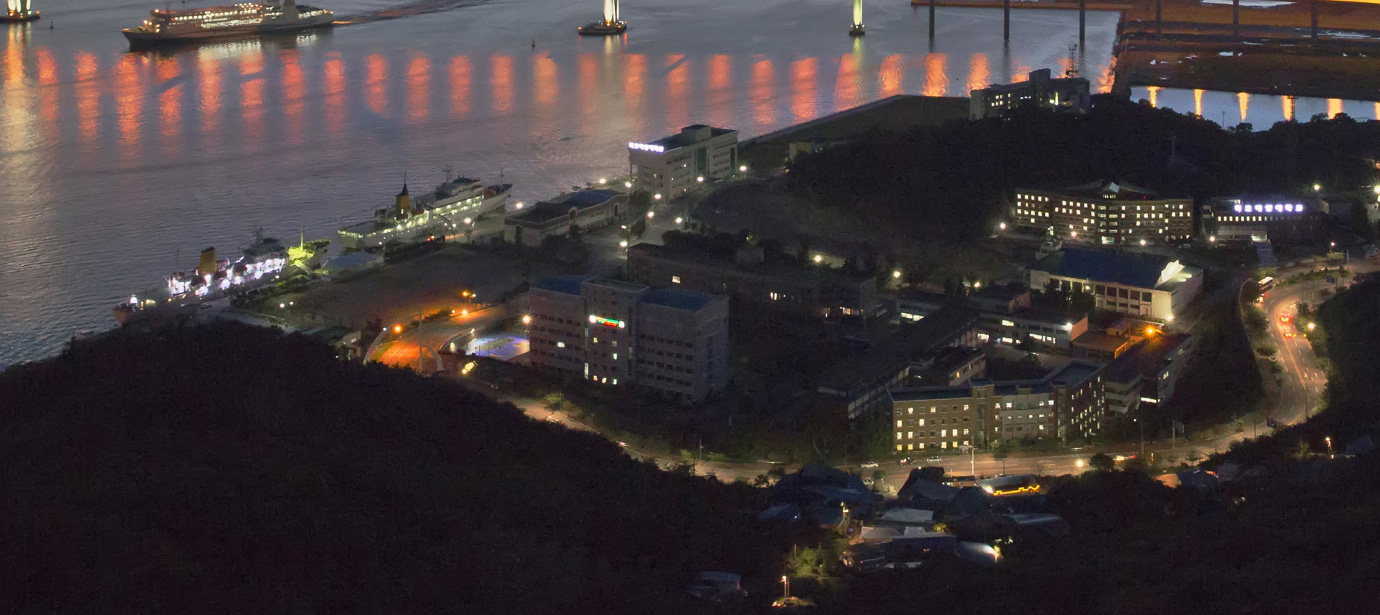 공중에서 내려다본 해안도로 야경