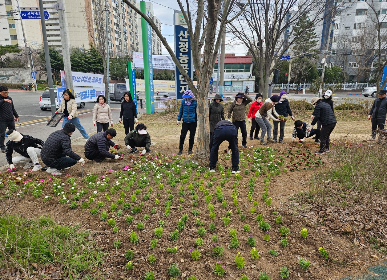 연산동, 새봄맞이 꽃 식재 및 환경정비 실시