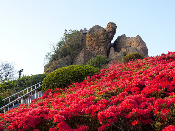 露积峰