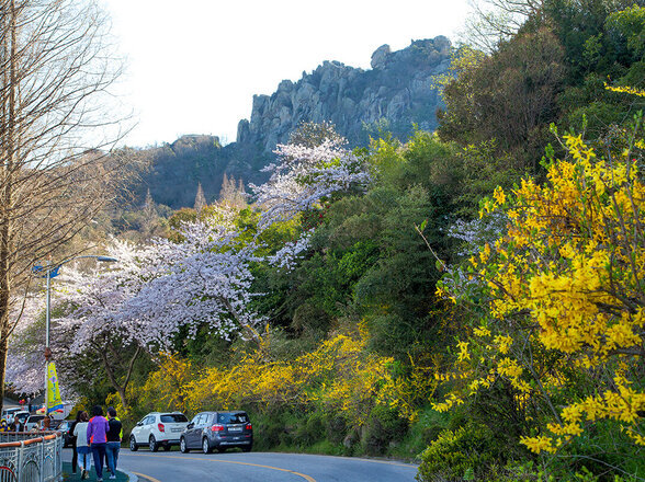 儒达山