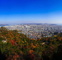 유달산에서 본 목포전경